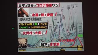 【復刻版】時局講演会  日本のコロナの真相とポストコロナ時代の緊急課題  ③ 講師 井上正康 コロナ人災とワクチン問題 日本コロナと共生の意味論  松田政策研究所 2021/6/28 衆議院議員会館