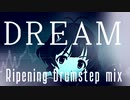 【秋月涼生誕祭】DREAM  ripening drumstep mix【アイマスRemix】