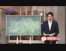 アミノ酸5ALA 長崎大学発表コロコロが存在するなら特効薬