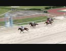 2021年9月8日笠松競馬1R C-21組 トゥルーグリット