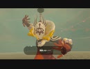 【ゼルダの伝説 ブレス オブ ザ ワイルド】アクションゲーが苦手なうちですがゼルダの伝説シリーズを初見でやってみる！【パート９】