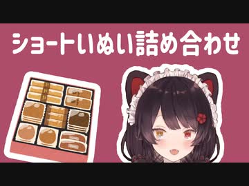 ショートいぬい詰め合わせ