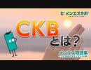 メンズエステで使用される隠語を動画付きでご紹介！男の乳首は単なる飾り!?とんでもない！ミルクが出るのは乳首じゃなくアレのほうだが乳首は乳首で刺激されると超気持ちいい！【メンエス隠語集～CKB～】
