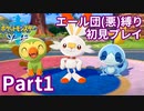 ポケモン剣ではエール団(悪)のポケモン縛りでやっていくPart1