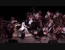 OTTA-orchestra - Royal Safary