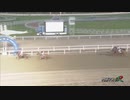 2021年9月8日門別競馬7R ＪＲＡ認定ウィナーズチャレンジ６ クラグローリー