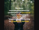 What is Neurodegeneration?