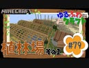 ゆるふわクラフト#79『植林場その1』