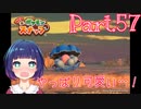 夜の荒野でまさかの…！？【Newポケモンスナップ】Part５７