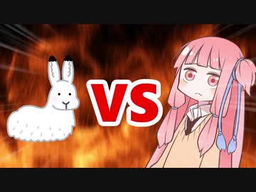 茜ちゃんVSウサギ