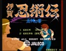 【PS4アケアカ】伊賀忍術伝【1cALL】