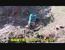 【SK135-SR5】枝状処理で枝葉を上流に繰るだけの動画2