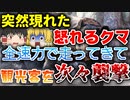 【ゆっくり解説】暴走熊が1000人以上集まるバスターミナルで人を片っ端から襲い続けた乗鞍岳クマ襲撃事件