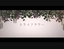 ドライフラワー／春弥【歌ってみた】