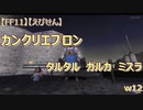 【FF11】【えびせん】　カンクリエプロン　タルタル　ガルカ　ミスラ　w12
