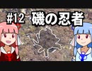 【琴葉姉妹の磯遊び】#12磯の生物　磯の忍者編【VOICEROID解説】