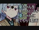 葵ちゃんでしてる姿を葵ちゃんに見られる動画