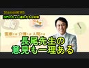 長尾先生の意見も一理ある(沙門のちょい遅れがちなNEWS)