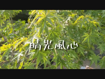 晴光風心 feat.可不