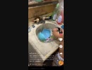 ホモと見る洗面台