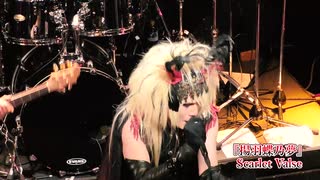 Scarlet Valse『揚羽蝶乃夢』【V援隊】限定ライブ動画