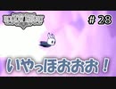 【実況】HOLLOW KNIGHT #28 いやっほおおお！
