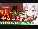 【PSO2NGS】9月どうすればいいのか考える会【ほぼ停滞】