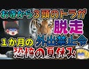 【ゆっくり解説】日本でベンガルトラが3頭も脱走するという驚愕事件「神野寺虎脱走事件」