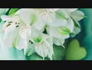 【UTAUカバー】マハラリィの花【白峰】