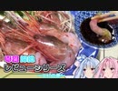 お姉ちゃんとえびが大好きな葵ちゃん