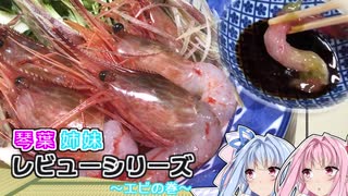 お姉ちゃんとえびが大好きな葵ちゃん
