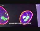 中国が外国人の遺伝子データを収集
