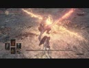 DARK SOULS III　王たちの化身　SL１武器未強化　指輪ナシ　防具ナシ　エスト４本