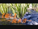 【癒し】～流水音～