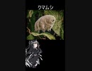へんないきもの3