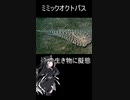 へんないきもの6