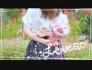 【踊ってみた】Lovers 【non】