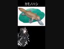 へんないきもの7