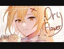 【秋の始まりに、歌ってみた】ドライフラワー ギターver. はくゆCover.【ギター/弦音オウリ】
