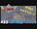 全力で楽しむ【ゼルダの伝説　スカイウォードソードHD】実況プレイ　PART33