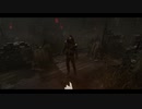 【PS4DBD】ランク1リージョン専 #124