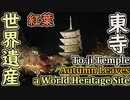 【京都の紅葉】世界遺産・東寺の夜間ライトアップ / Autumn Leaves in a World Heritage of Kyoto, Japan【4K】