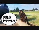 2021/09/04放送【155日目 北海道 網走郡大空町 早朝 あずにゃんぽ猫散歩】北海道全市町村制覇するまで帰れまてん！　猫と車中泊の旅　日本縦断【旅猫あずき～保護猫から旅猫へ～】