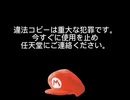 スーパーマリオサンシャイン Anti-Piracy Screen