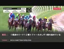 【ウマ娘風】第74回GⅠマカイビーディーヴァステークス(豪・2021)