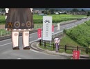 派手好きゆかりのバイク旅 バイクが生えました編