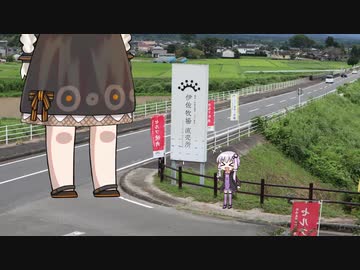 派手好きゆかりのバイク旅 バイクが生えました編