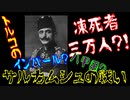 【ボイスロイド歴史解説：東北姉妹】サルカムシュの戦い【第一次世界大戦】