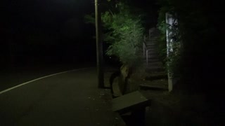 【心霊スポット】解剖墓地【石川県】