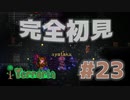 【女性実況】友人と大学最後の夏休みをエンジョイ#23【terraria テラリア】